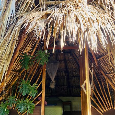 Calypso Cabanas El Paredón Buena Vista Екстериор снимка