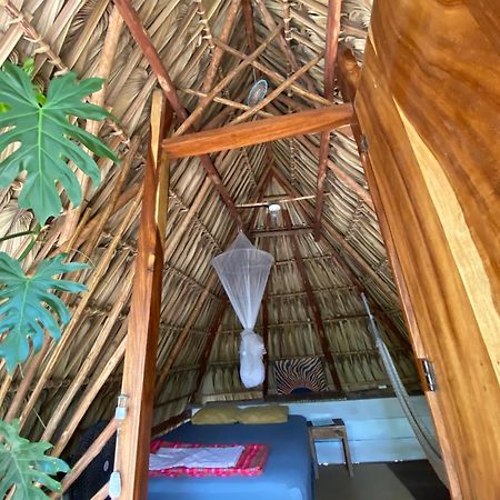 Calypso Cabanas El Paredón Buena Vista Екстериор снимка