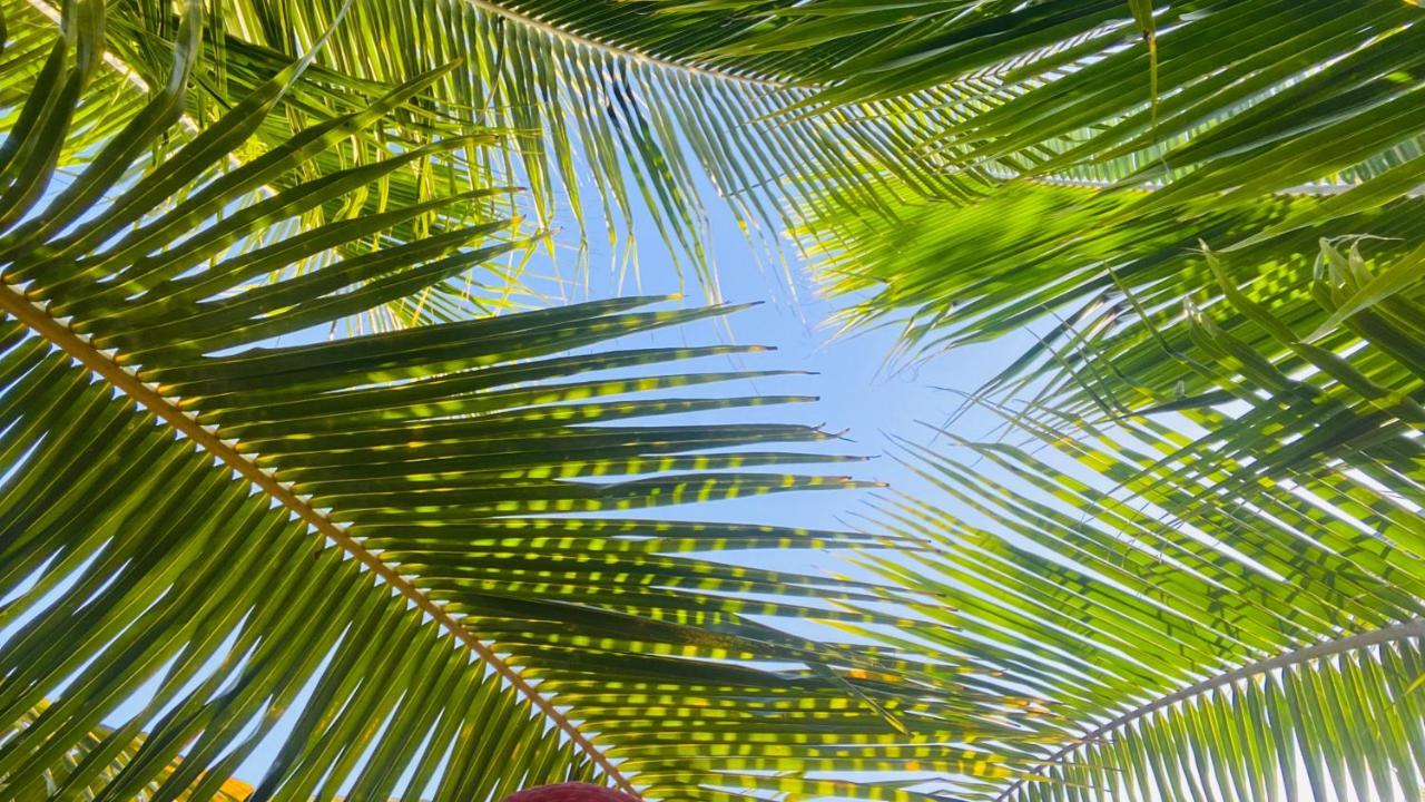 Calypso Cabanas El Paredón Buena Vista Екстериор снимка