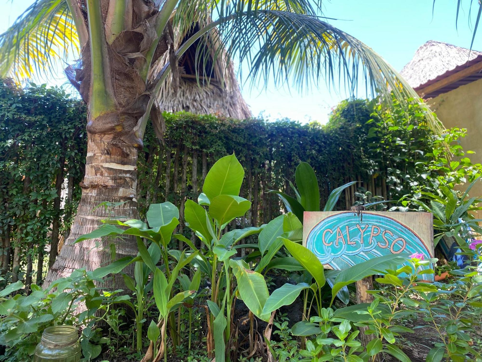 Calypso Cabanas El Paredón Buena Vista Екстериор снимка